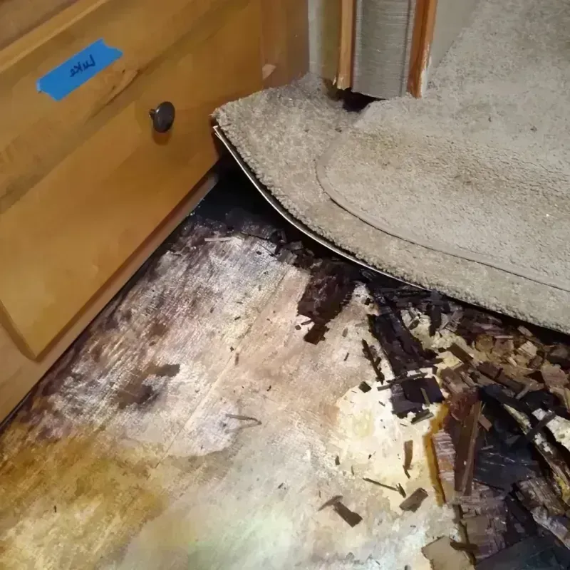 Wood Floor Water Damage in Riverton, NJ